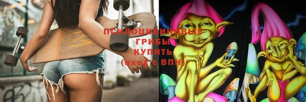 спиды Михайлов