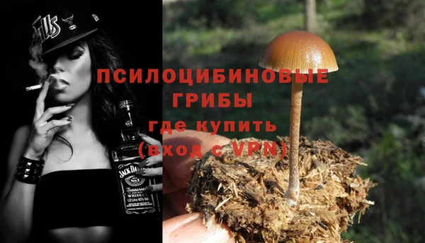 не бодяженный Михайловск