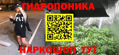 гидра Аргун