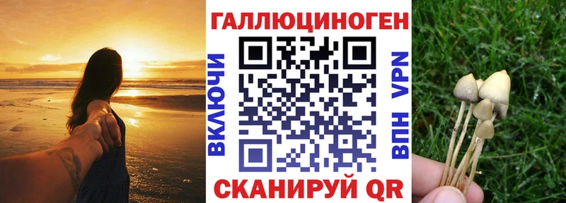 где купить   Архангельск  MEGA как зайти  Псилоцибиновые грибы мухоморы 