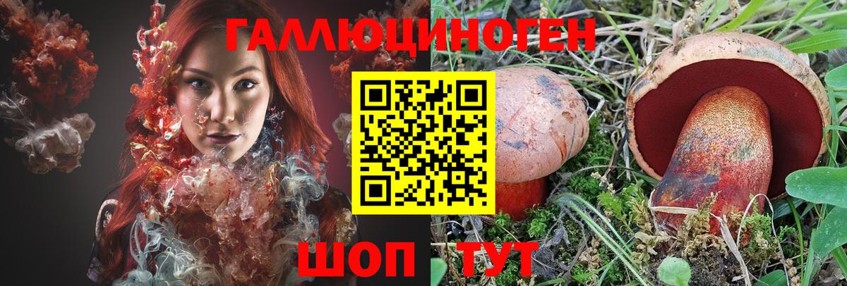 Галлюциногенные грибы GOLDEN TEACHER Архангельск