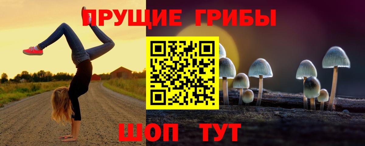 Псилоцибиновые грибы Psilocybine cubensis  Вход с VPN  Архангельск 
